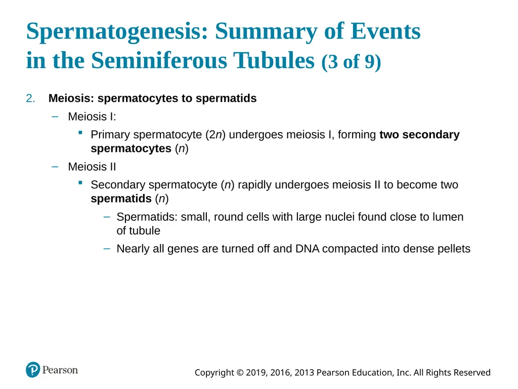 Human Anatomy and Physiology Eleventh Edition - slide 87 of 108