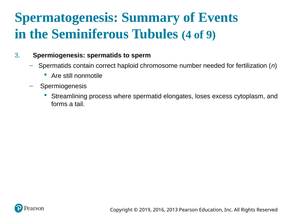 Human Anatomy and Physiology Eleventh Edition - slide 89 of 108