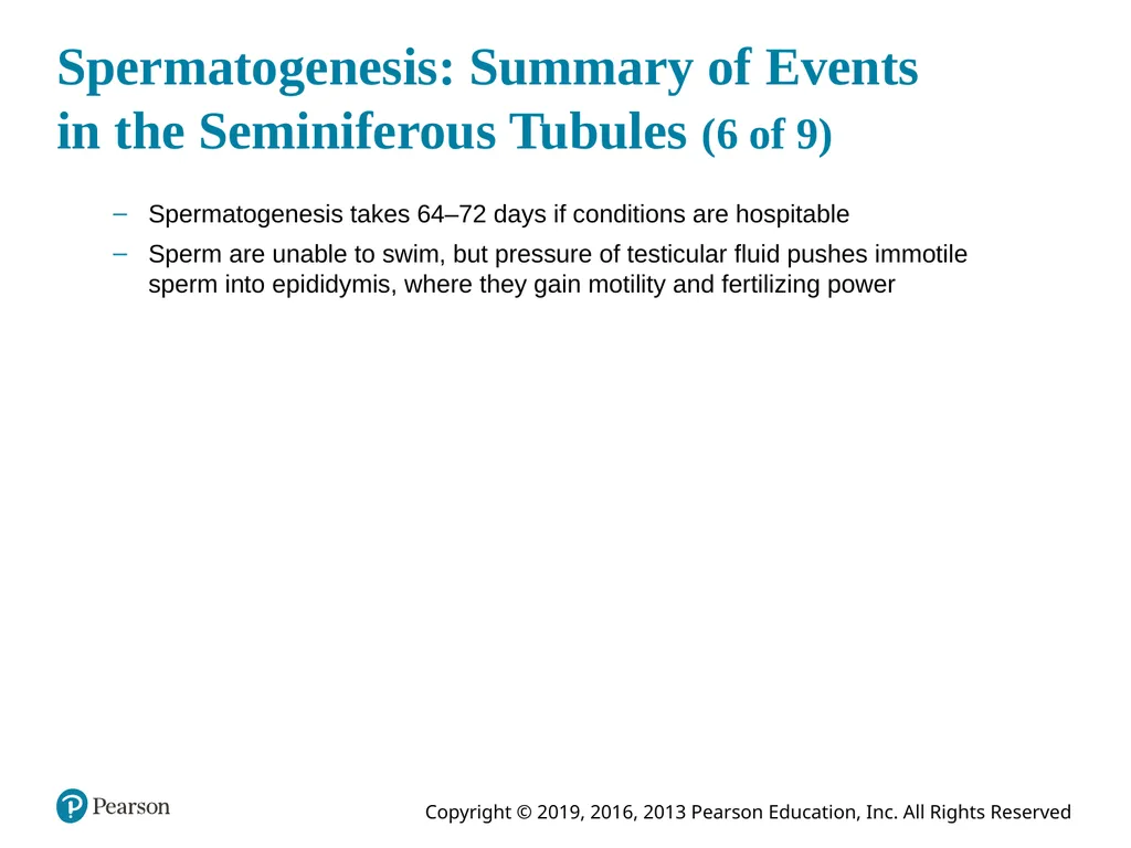 Human Anatomy and Physiology Eleventh Edition - slide 92 of 108