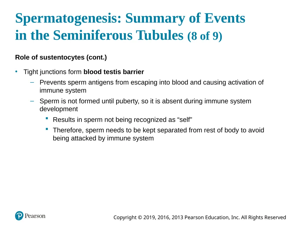 Human Anatomy and Physiology Eleventh Edition - slide 94 of 108
