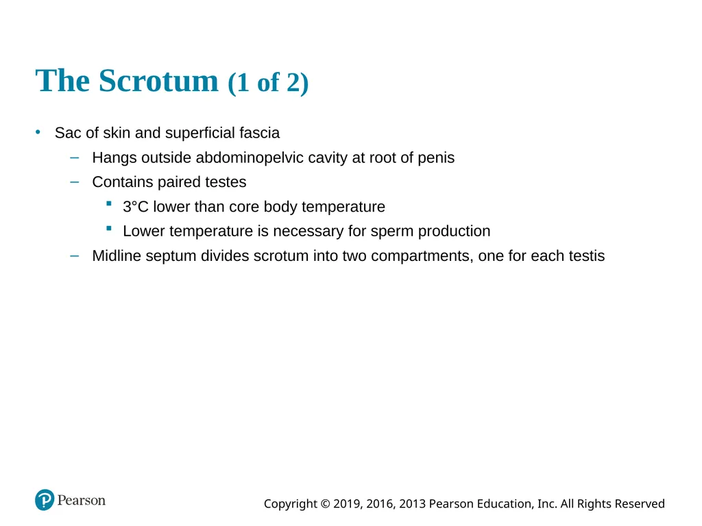 Human Anatomy and Physiology Eleventh Edition - slide 41 of 108