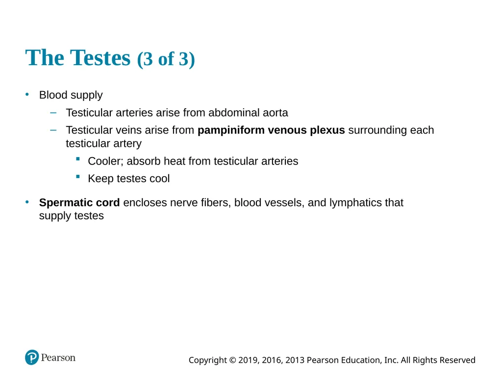 Human Anatomy and Physiology Eleventh Edition - slide 46 of 108