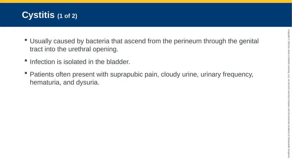 Gynecologic Emergencies CHAPTER 23 Introduction - slide 43 of 80