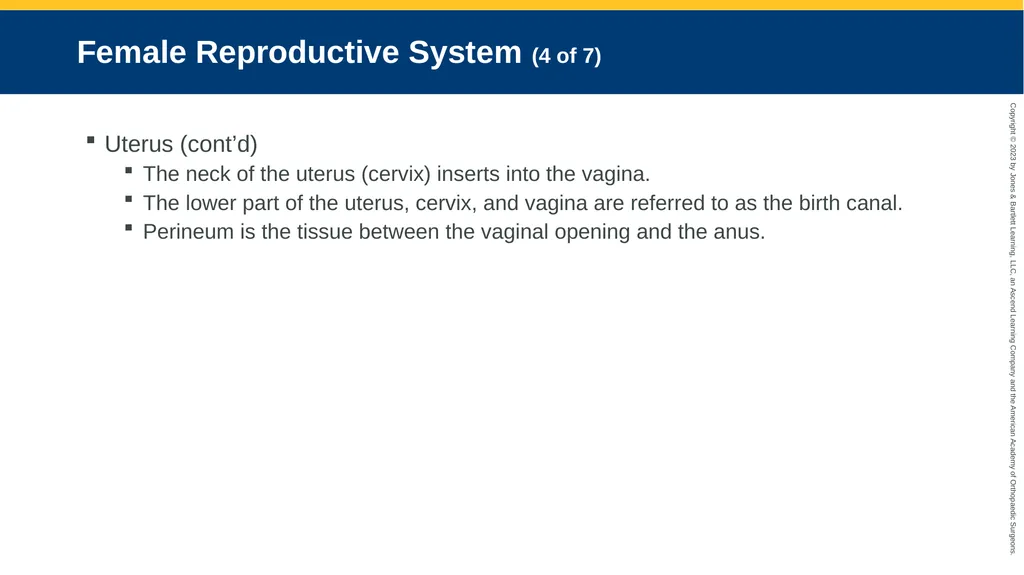 Gynecologic Emergencies CHAPTER 23 Introduction - slide 6 of 80