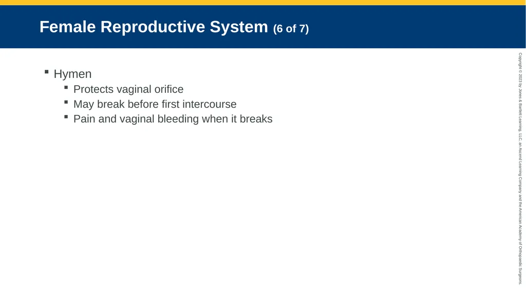 Gynecologic Emergencies CHAPTER 23 Introduction - slide 8 of 80