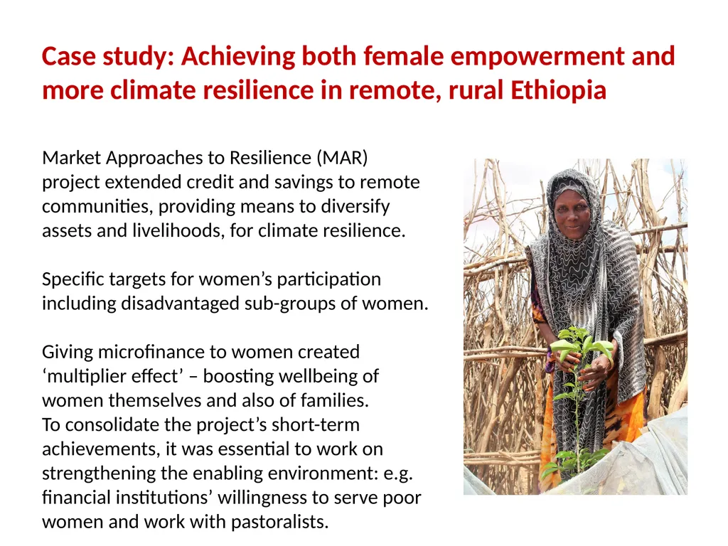 Gender and social inclusion: Taking practical - slide 16 of 23