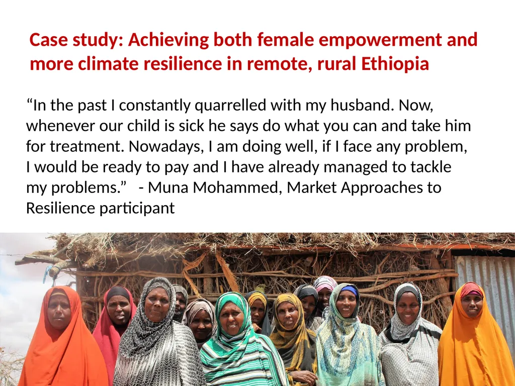 Gender and social inclusion: Taking practical - slide 17 of 23