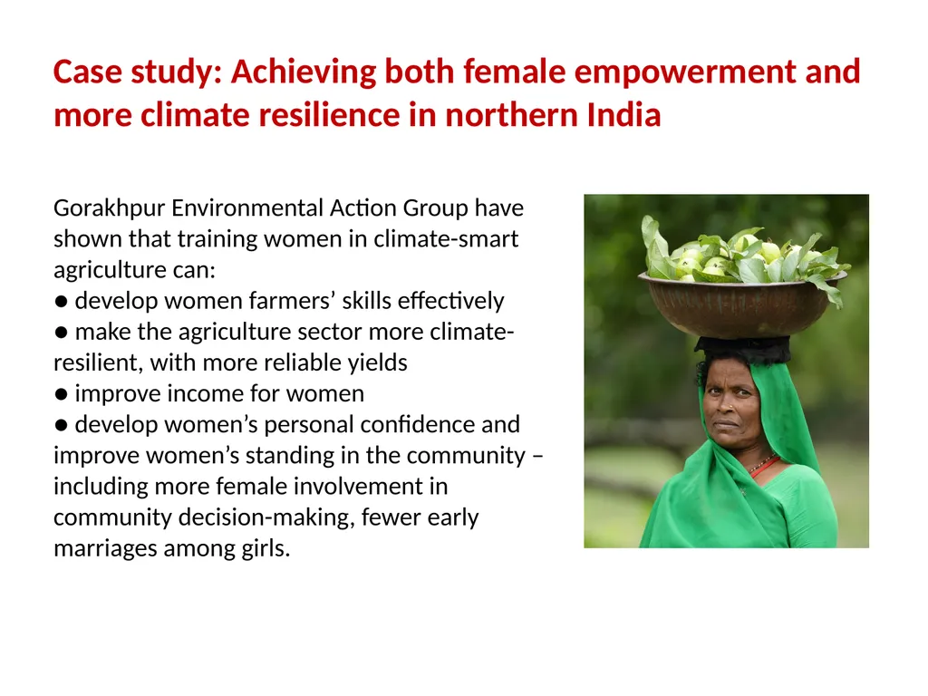 Gender and social inclusion: Taking practical - slide 18 of 23