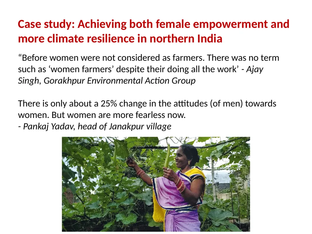 Gender and social inclusion: Taking practical - slide 19 of 23