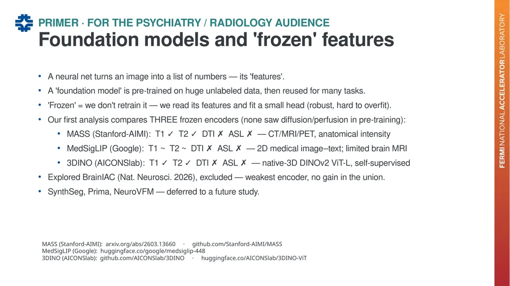 Can a brain-imaging foundation model see - slide 9 of 48