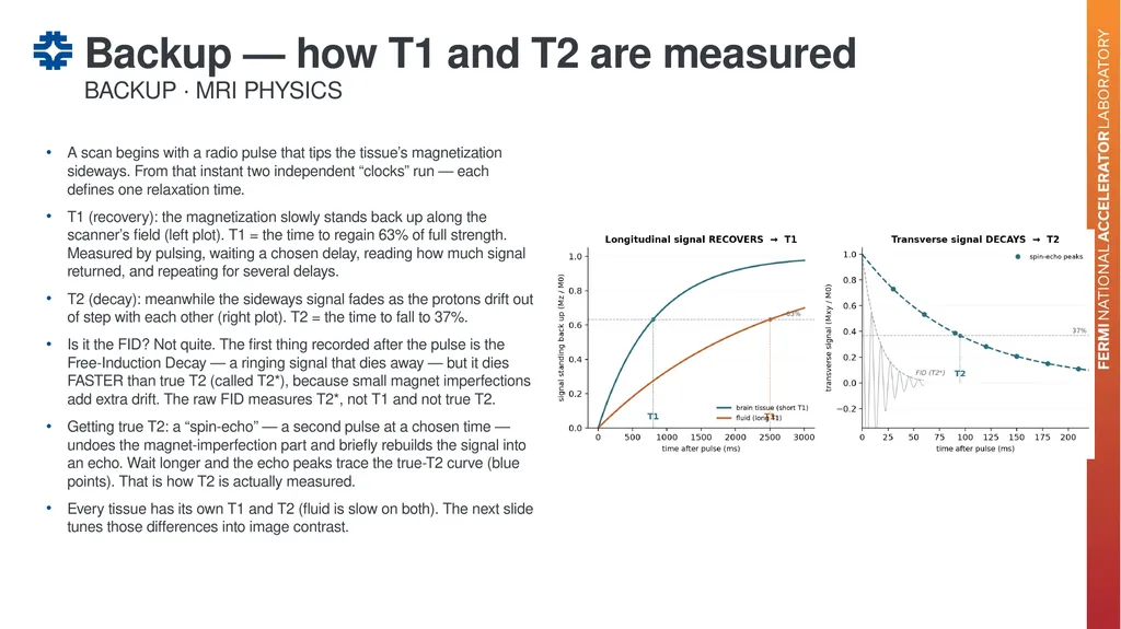 Can a brain-imaging foundation model see - slide 41 of 48