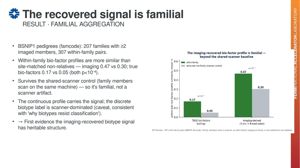Can a brain-imaging foundation model see - slide 31 of 48