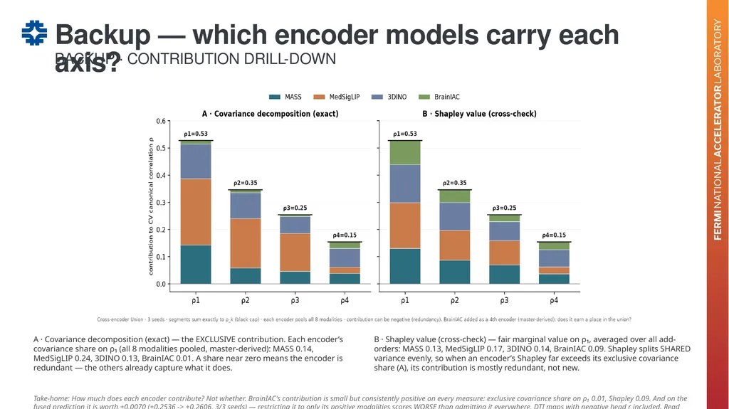 Can a brain-imaging foundation model see - slide 46 of 48