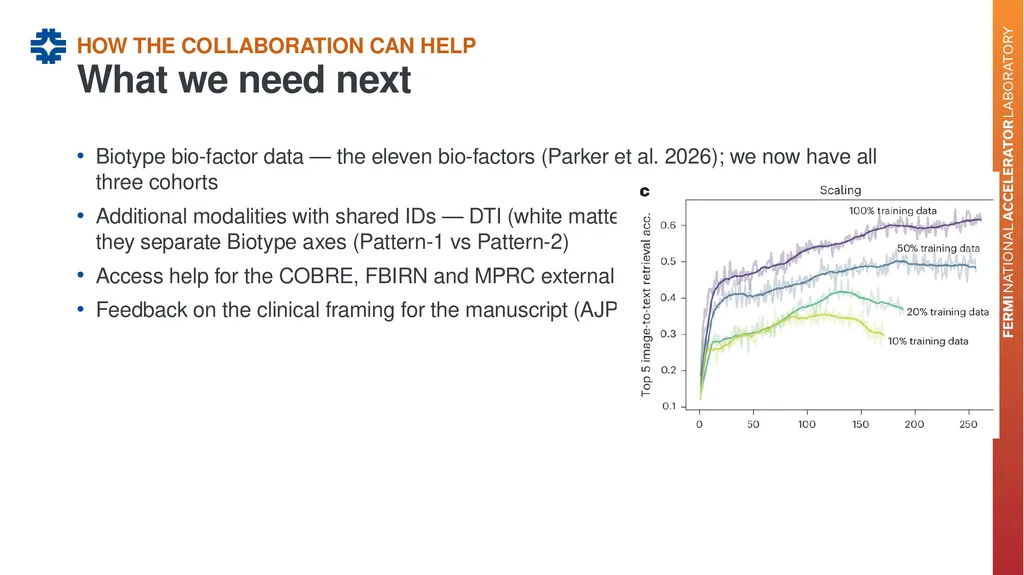 Can a brain-imaging foundation model see - slide 34 of 48