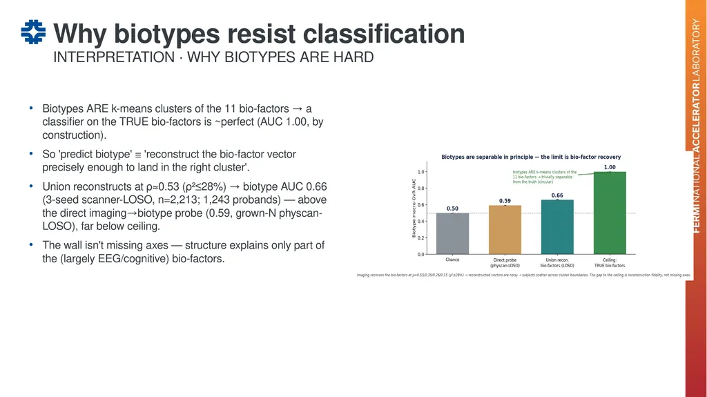Can a brain-imaging foundation model see - slide 28 of 48