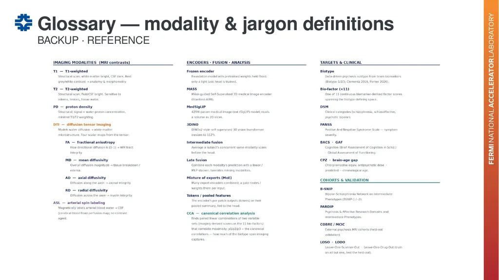 Can a brain-imaging foundation model see - slide 37 of 48