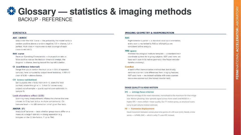 Can a brain-imaging foundation model see - slide 38 of 48