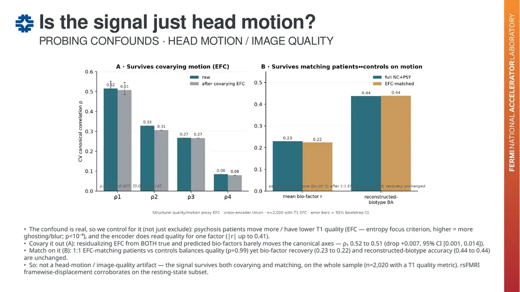Can a brain-imaging foundation model see - slide 30 of 48