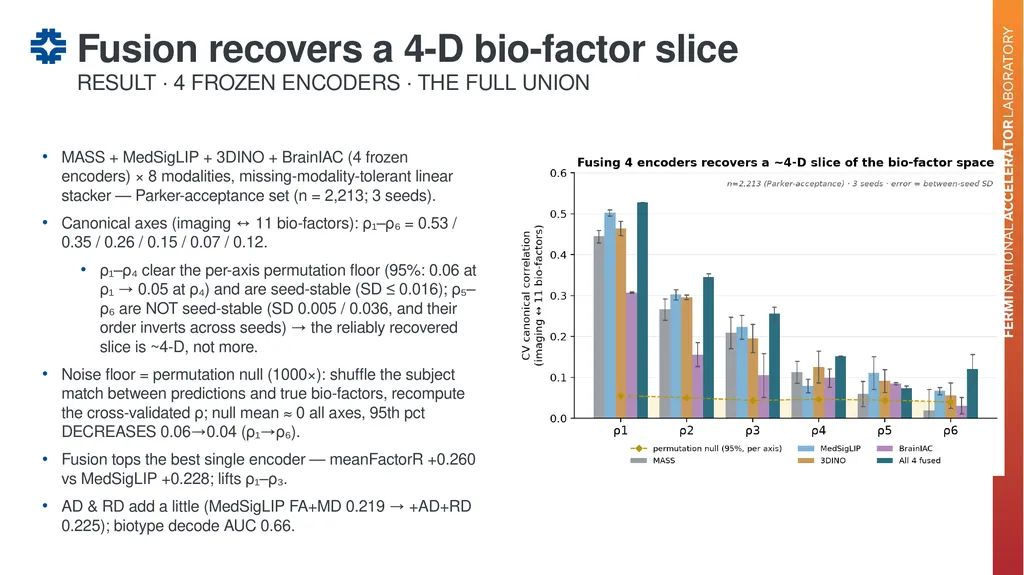 Can a brain-imaging foundation model see - slide 25 of 48