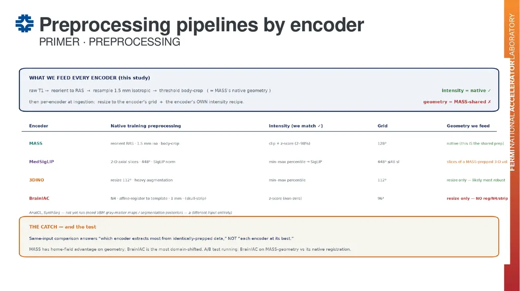 Can a brain-imaging foundation model see - slide 10 of 48