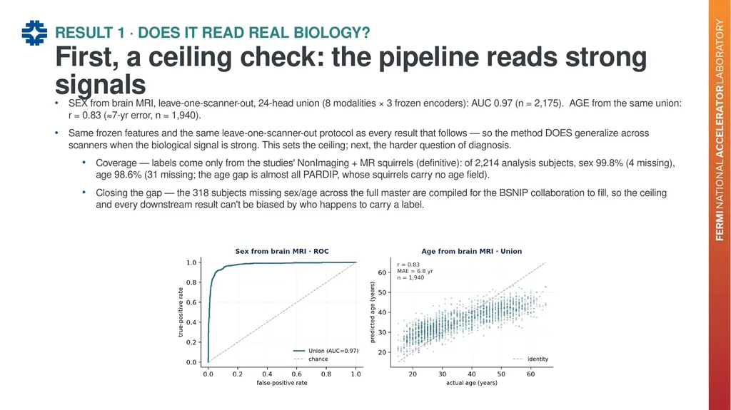 Can a brain-imaging foundation model see - slide 20 of 48