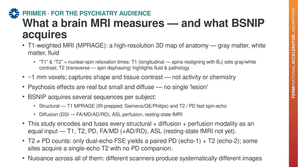 Can a brain-imaging foundation model see - slide 7 of 48