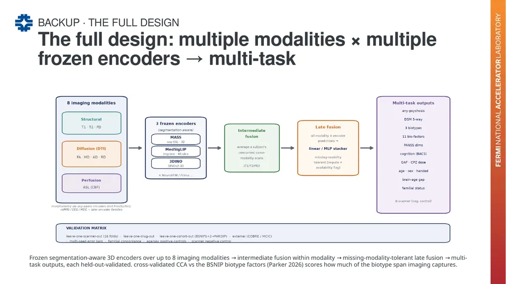 Can a brain-imaging foundation model see - slide 40 of 48