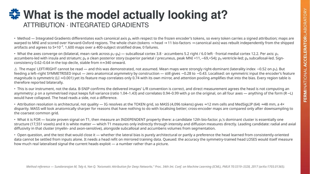 Can a brain-imaging foundation model see - slide 47 of 48
