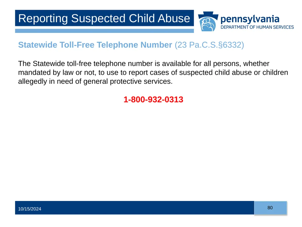 Child Abuse Recognition and Reporting in - slide 80 of 125
