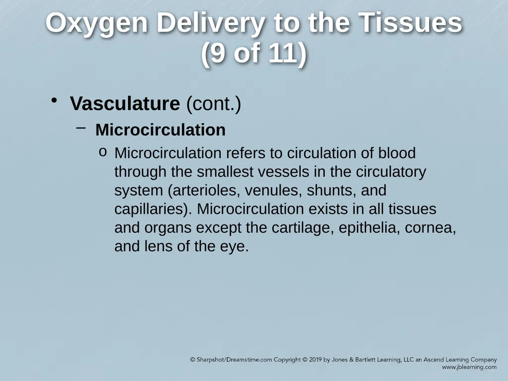 Chapter 35 Shock Comprehensive Lecture National - slide 12 of 59