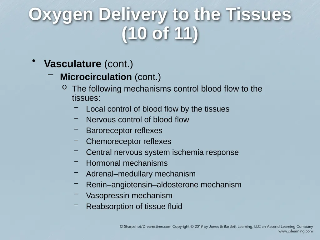 Chapter 35 Shock Comprehensive Lecture National - slide 13 of 59
