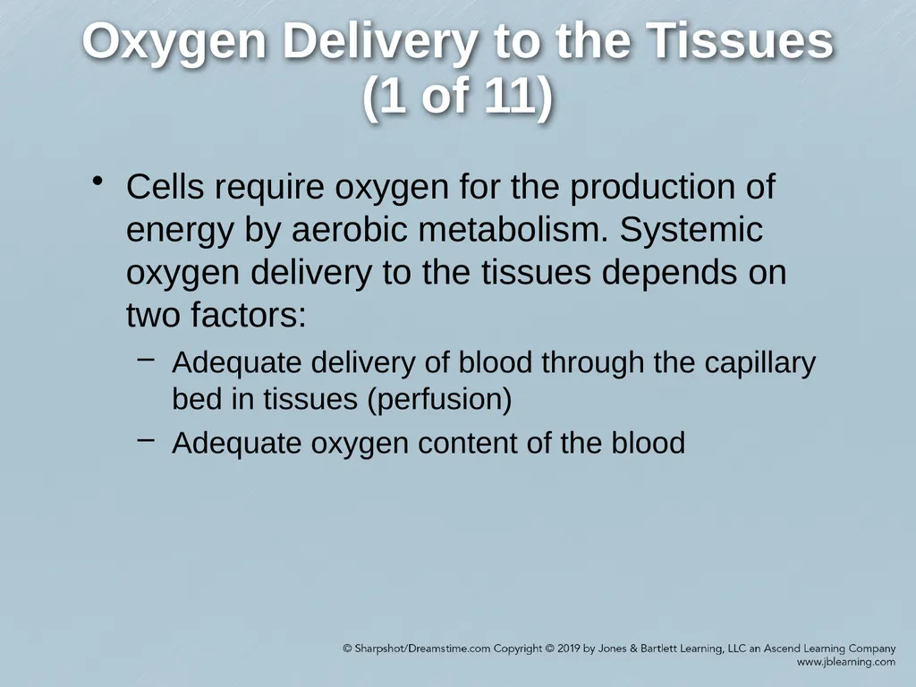 Chapter 35 Shock Comprehensive Lecture National - slide 4 of 59