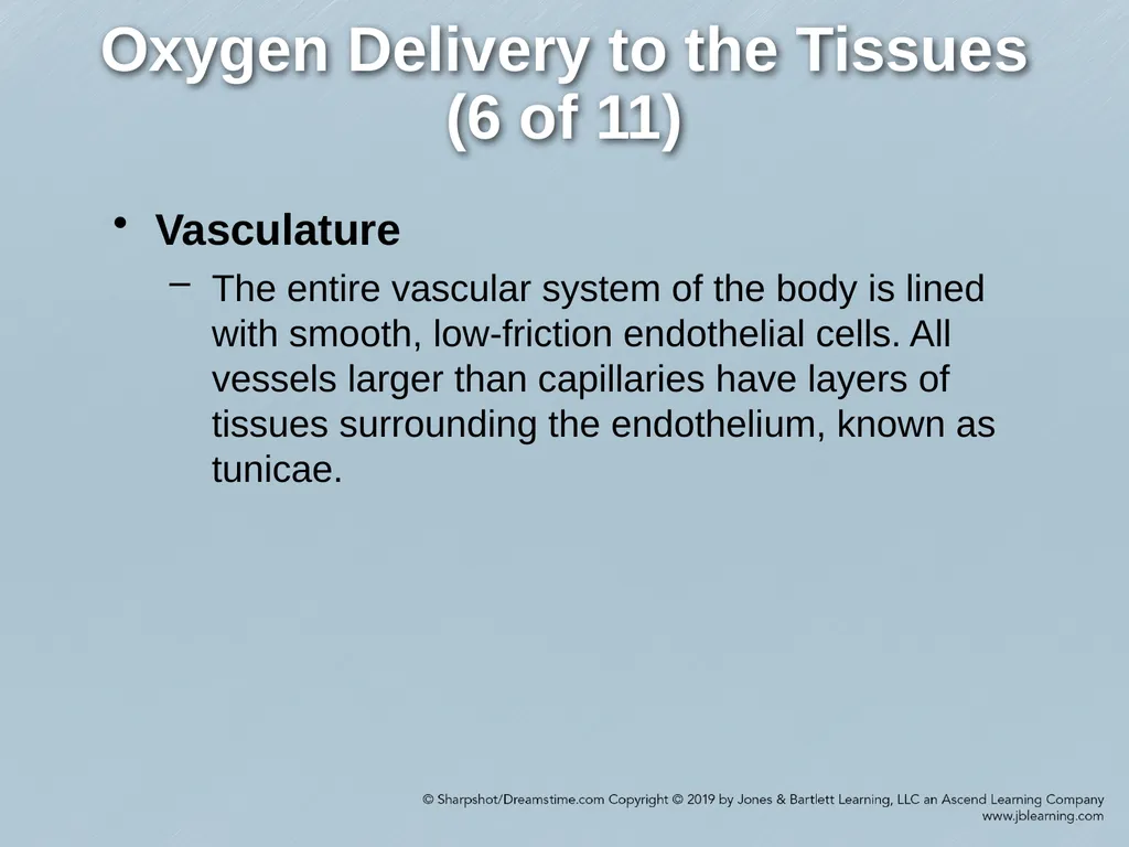 Chapter 35 Shock Comprehensive Lecture National - slide 9 of 59