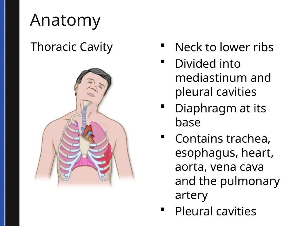 BLS 2015 Cardiovascular Emergencies Cardiovascular - slide 12 of 58