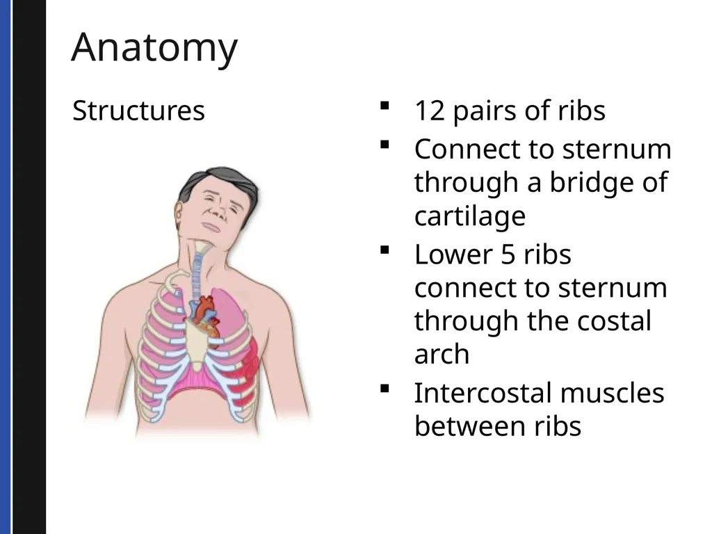 BLS 2015 Cardiovascular Emergencies Cardiovascular - slide 13 of 58