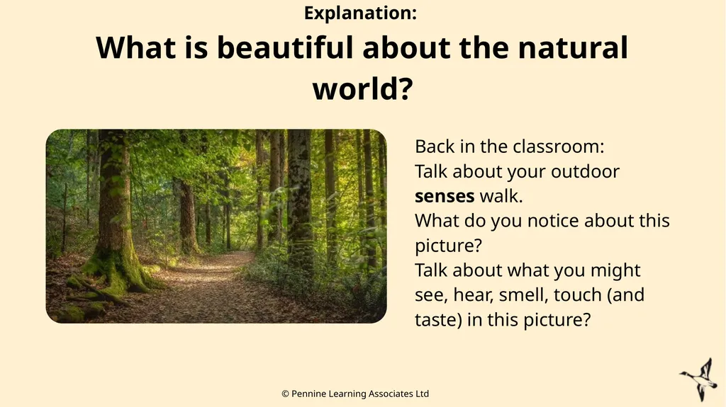 Thank you for using this resource. We hope it - slide 12 of 20