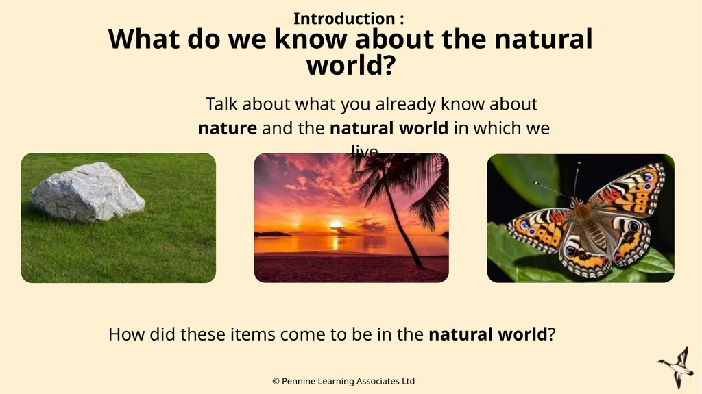 Thank you for using this resource. We hope it - slide 9 of 20