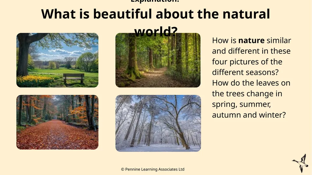 Thank you for using this resource. We hope it - slide 14 of 20