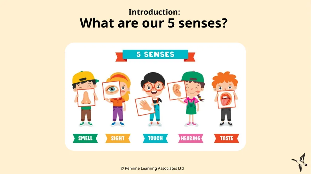 Thank you for using this resource. We hope it - slide 10 of 20