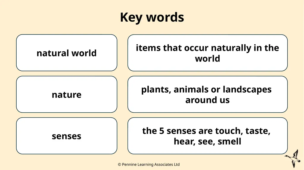 Thank you for using this resource. We hope it - slide 8 of 20