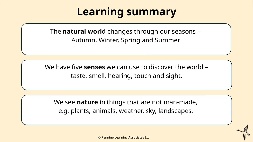 Thank you for using this resource. We hope it - slide 17 of 20