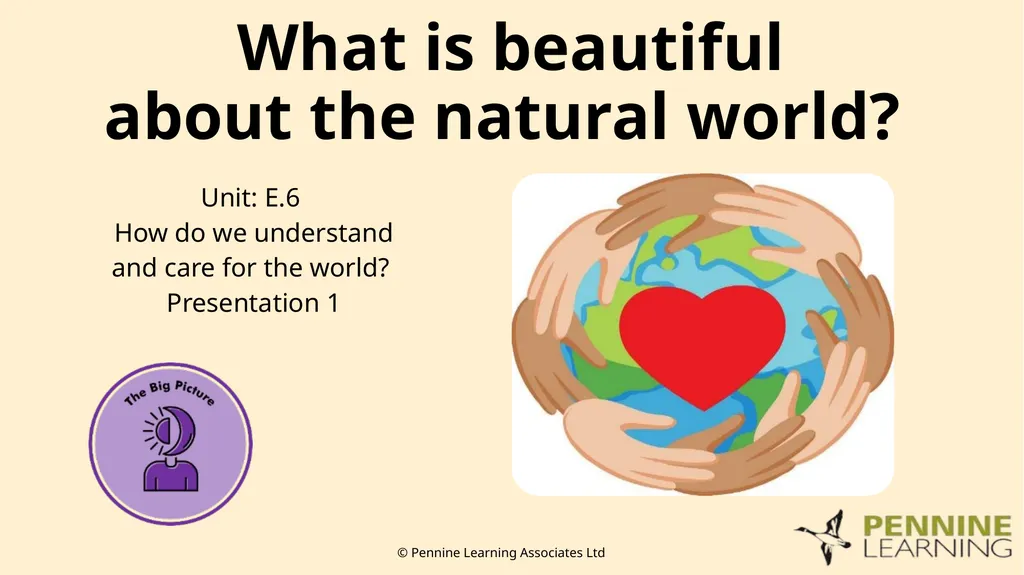 Thank you for using this resource. We hope it - slide 5 of 20