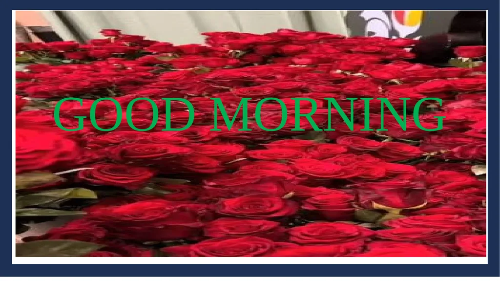 GOOD MORNING Lesson Introduction Class :5 Unit :19 - slide 1 of 18