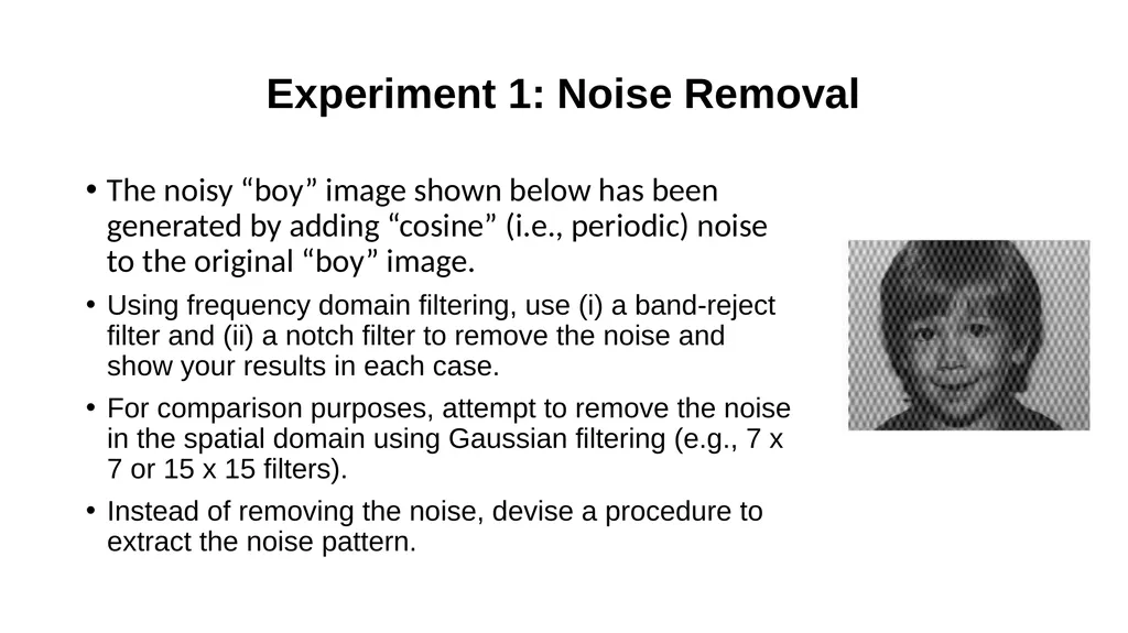 Experiment 1: Noise Removal The noisy “boy” image - slide 2 of 6