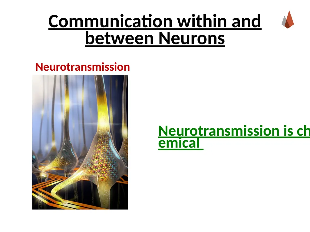 Neurons [Professor Name] [Class and Section - slide 30 of 37