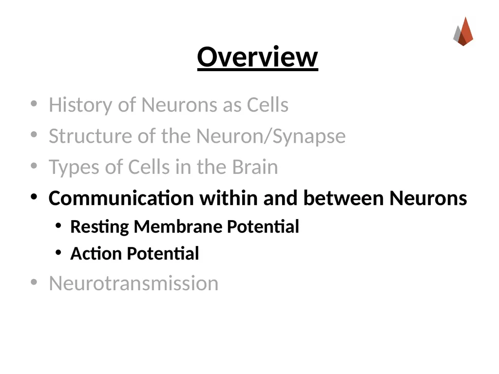 Neurons [Professor Name] [Class and Section - slide 15 of 37