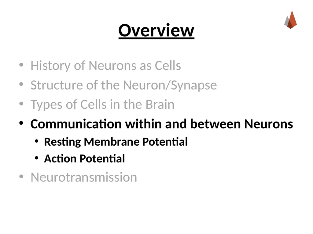 Neurons [Professor Name] [Class and Section - slide 20 of 37