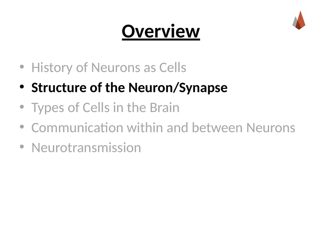 Neurons [Professor Name] [Class and Section - slide 6 of 37
