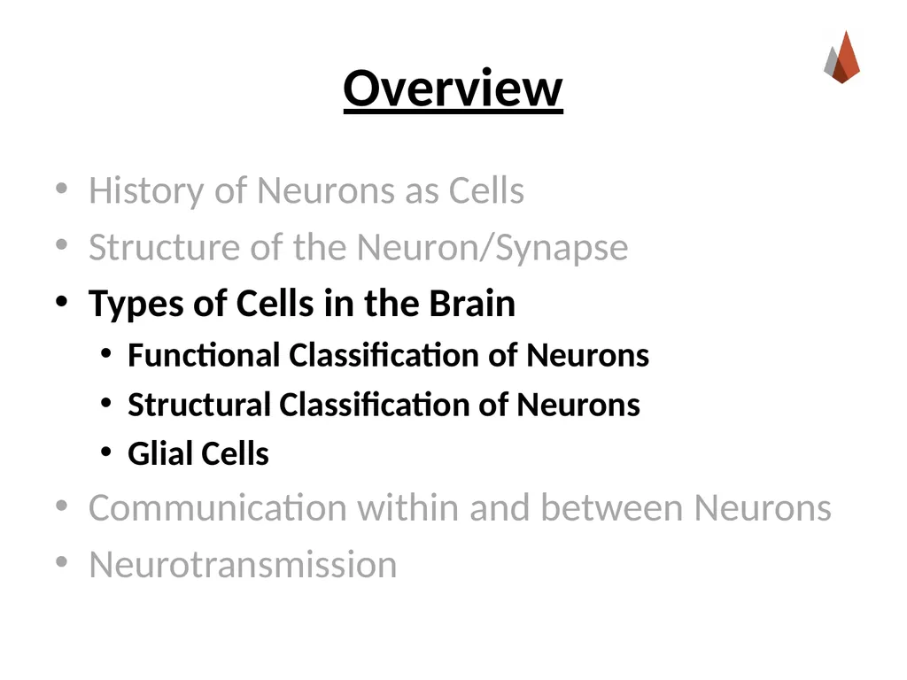 Neurons [Professor Name] [Class and Section - slide 9 of 37