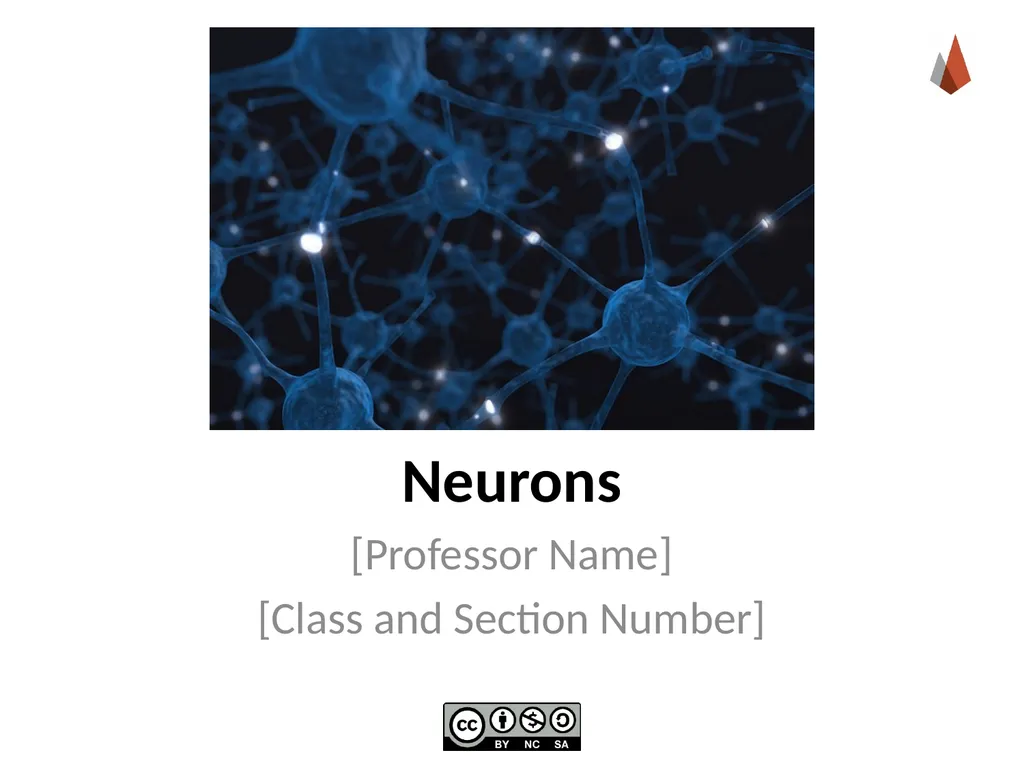 Neurons [Professor Name] [Class and Section - slide 1 of 37